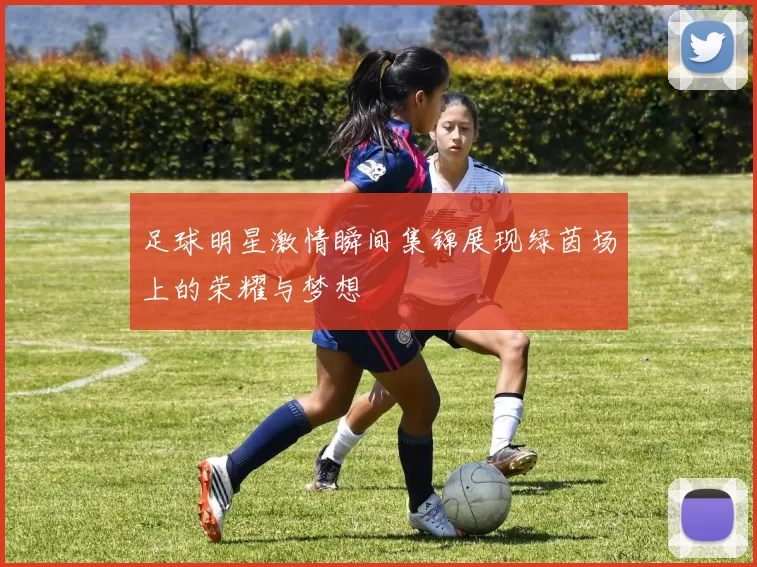 足球明星激情瞬间集锦展现绿茵场上的荣耀与梦想