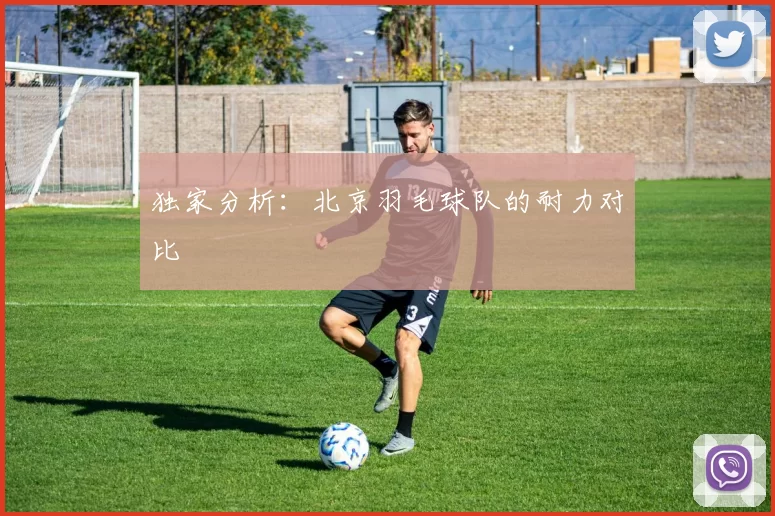 独家分析：北京羽毛球队的耐力对比