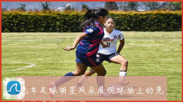 兔年足球明星风采展现球场上的兔年传奇瞬间回顾