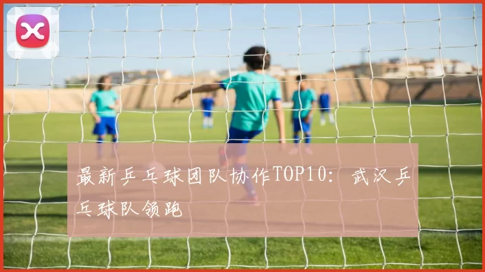 最新乒乓球团队协作TOP10：武汉乒乓球队领跑