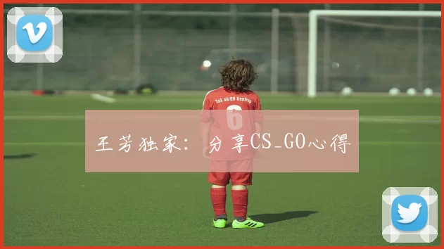 王芳独家：分享CS_GO心得