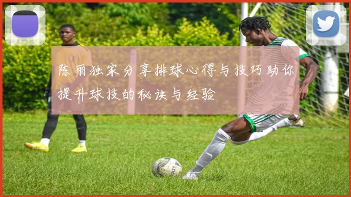 陈丽独家分享排球心得与技巧助你提升球技的秘诀与经验