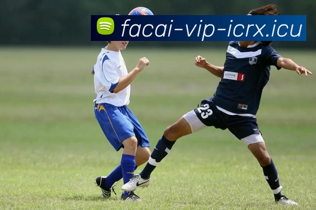 星空体育品牌故事